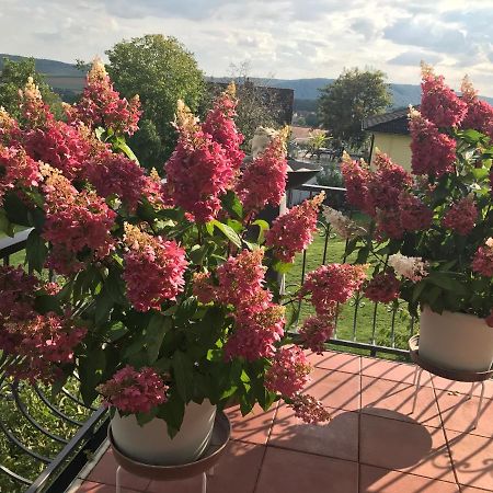 Haus Buena Vista Hotel Bad Kissingen Ngoại thất bức ảnh