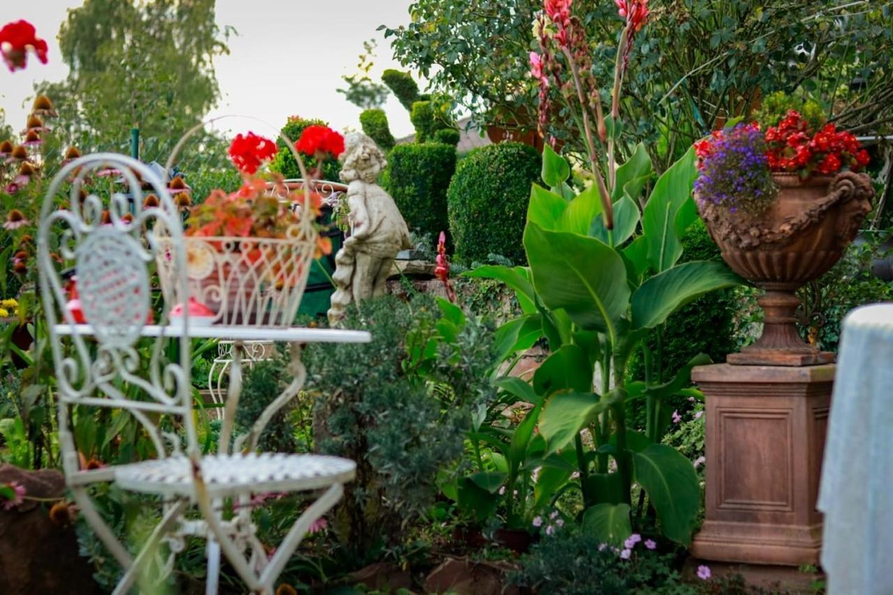 Haus Buena Vista Hotel Bad Kissingen Ngoại thất bức ảnh